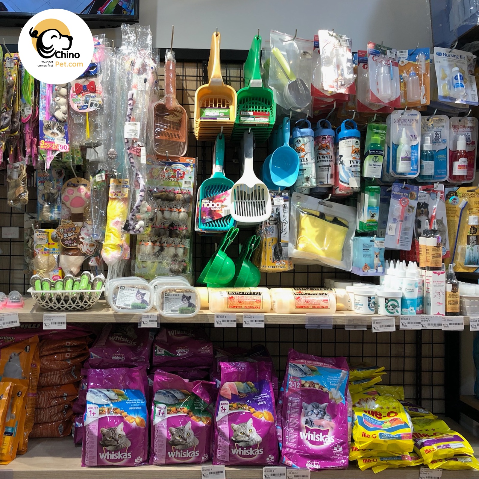 Daily supplies & accessories